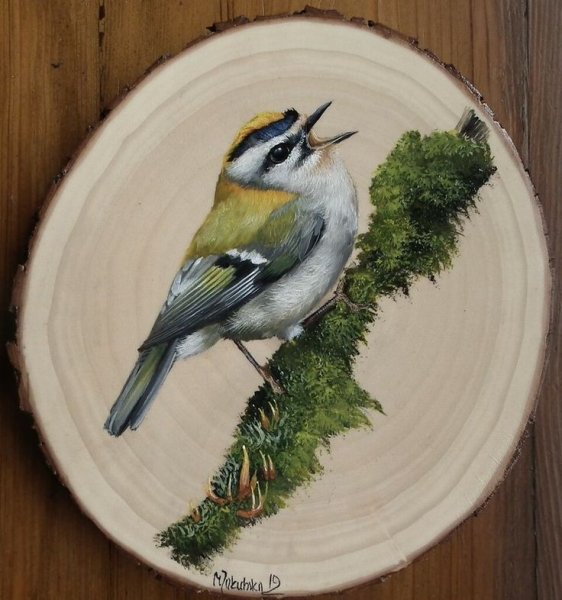 Желтоголовый королек