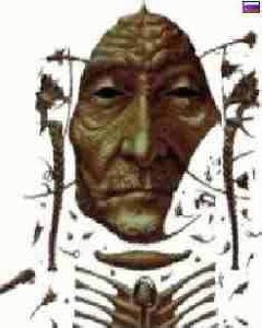 Карлос Кастанеда - Дар орла