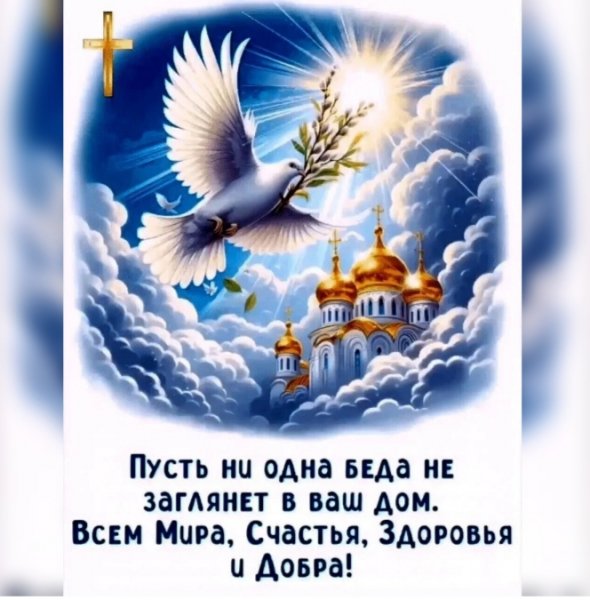 IMG 20251029 011810