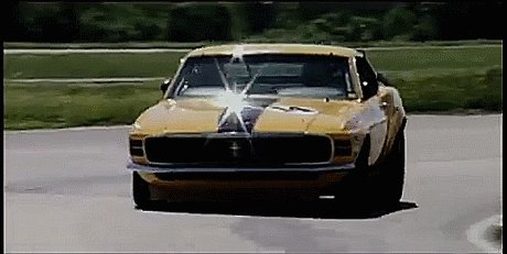 Ford Mustang Boss 302 Trans Am Car Series