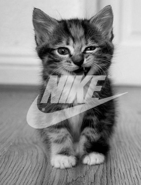 kot nike