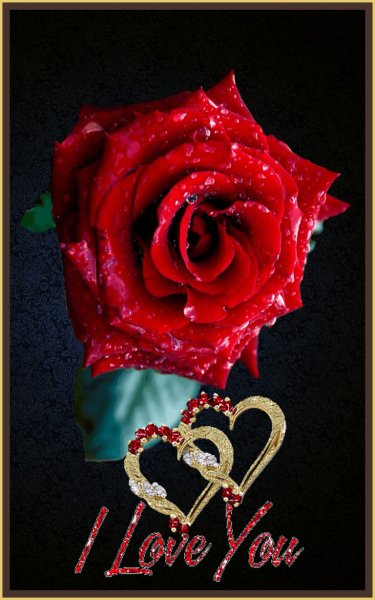Роза в рамке ILY..