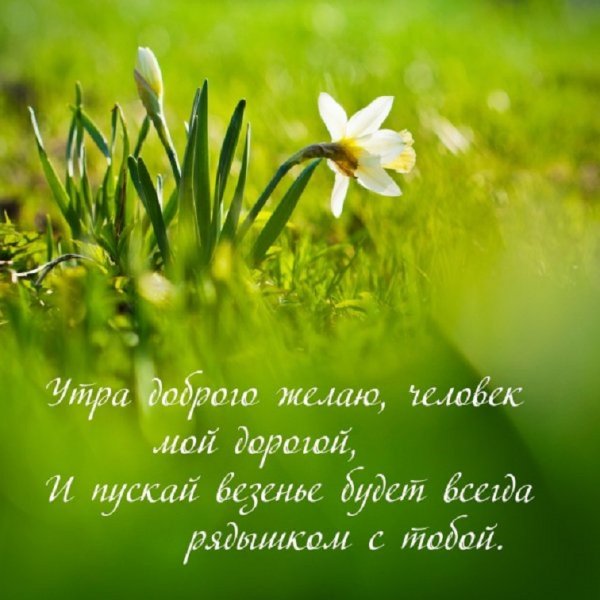 Утра доброго желаю, человек мой дорогой...