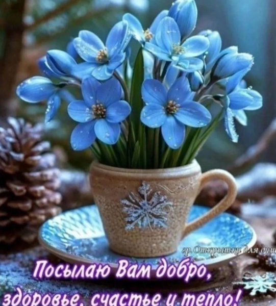 Screenshot 20250306 024714