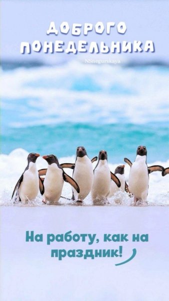 Доброго понедельника ...