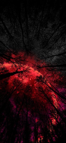 IMG 20260125 145528 283