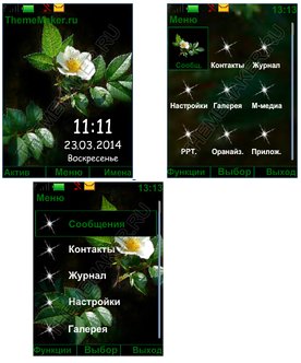 Belyi shipovnik (havafara)