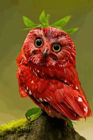 file_93214098