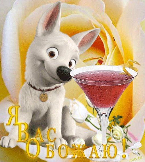 Я Вас Обожаю!