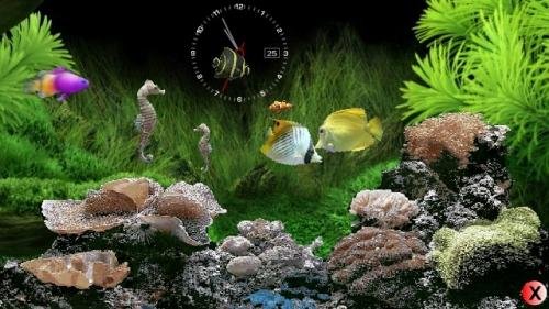 REALITY AQUARIUM-2