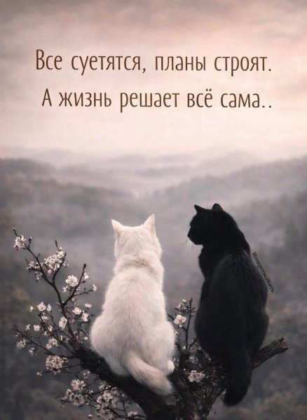 FB IMG 1772087753243