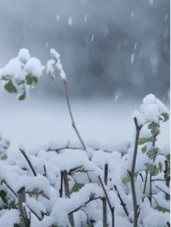 снегопад (k13)