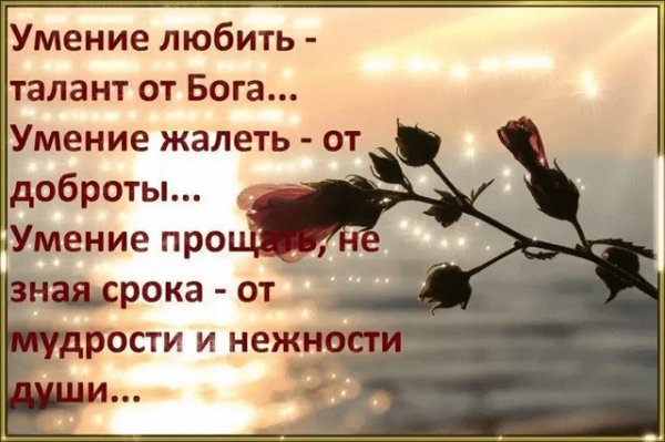 IMG 20160515 154205 68