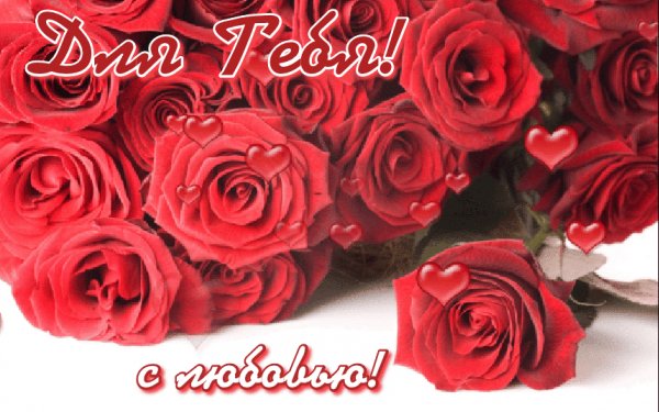 0 141d4f ad615190 XXL