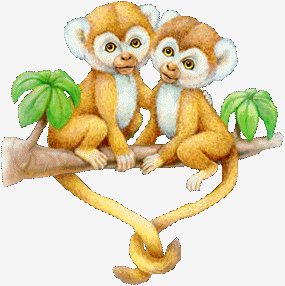 gifs animaux
