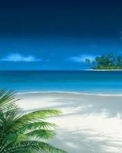 Море и пальмы