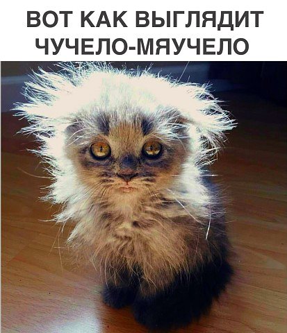 Чучело-мяучело