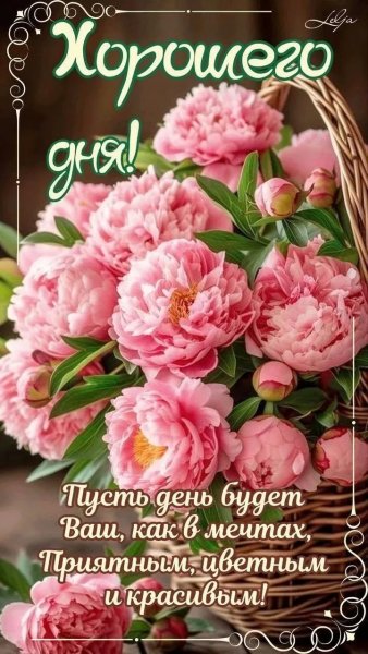 IMG 20260217 163935 919