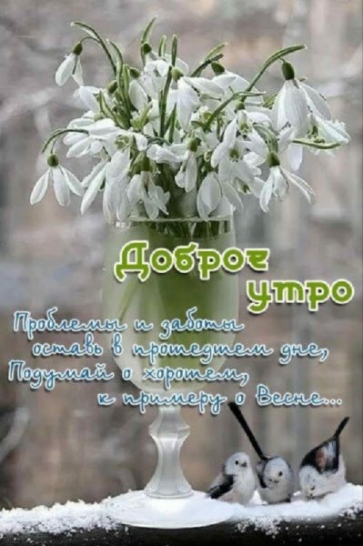 Доброе утро. Проблемы и заботы оставь в прошедшем дне