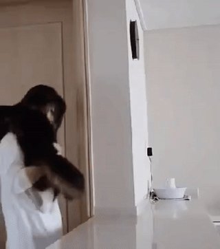 Когда котейко тебя заждался