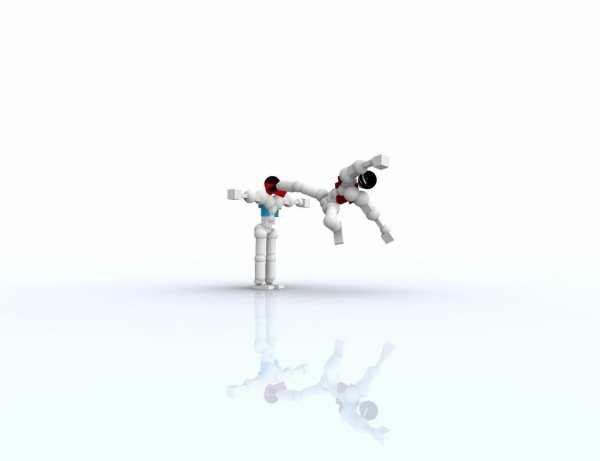 Toribash v3.99 setup