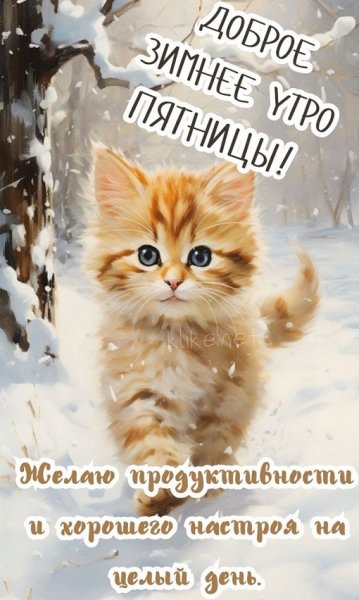Доброе зимнее утро пятницы! ...
