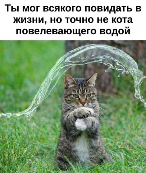 FB IMG 1774502870784