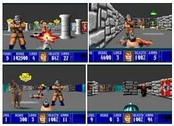 wolfenstein 3d fop pc