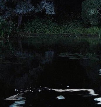 Анна Ковальчук