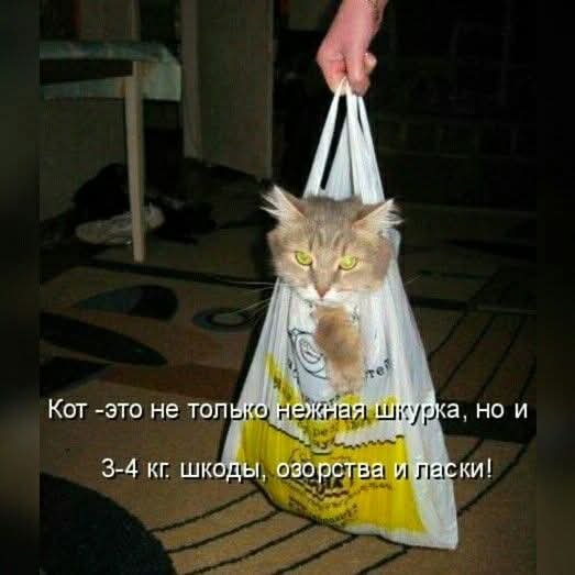 FB IMG 1777489049527