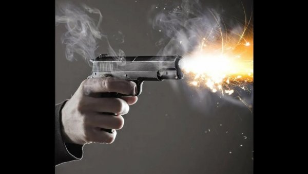 Звук выстрела