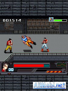 Double Dragon Forever