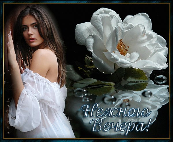 Нежного вечера!