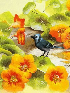 file_55623665