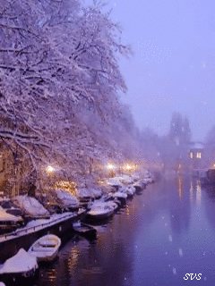 file_71302669