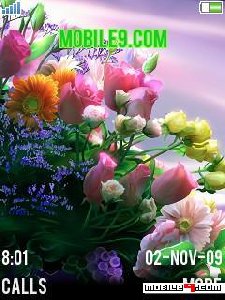 flowers vvxy7tve