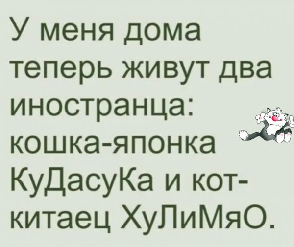 IMG 20260306 134633