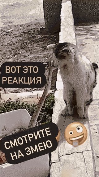 )