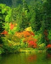 Beautiful by Igorela9