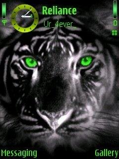 theme 46554
