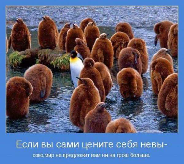 Как-то так...