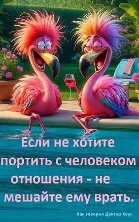 FB IMG 1778837996580