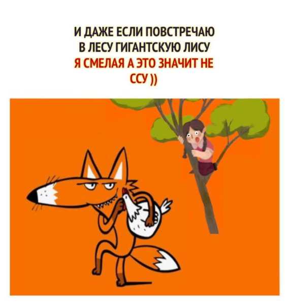 FB IMG 1778513345745
