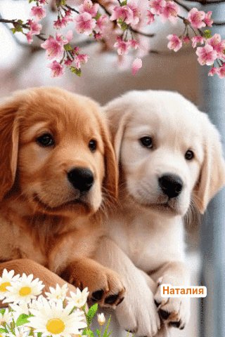 file_100313805