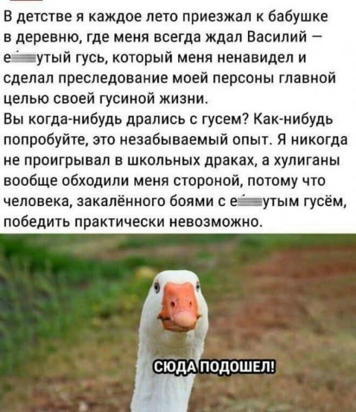 file_102355940