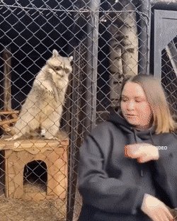 Яя,коко-джамбо...)))