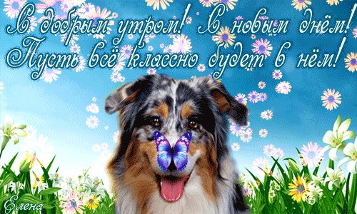 file_57911203