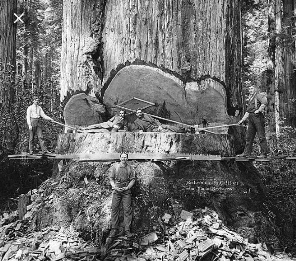 Как в сказке..