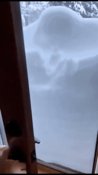 Он любит снег....