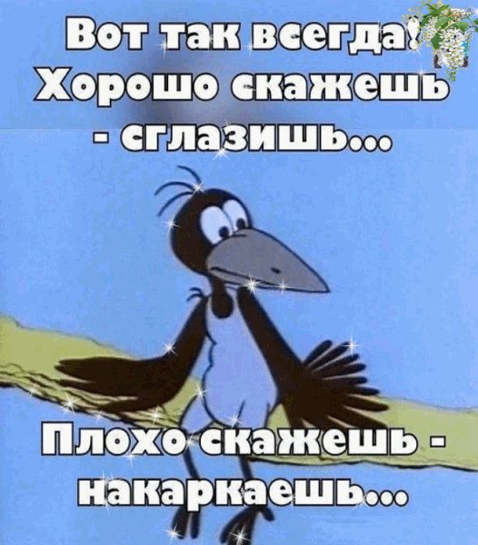file_79142557